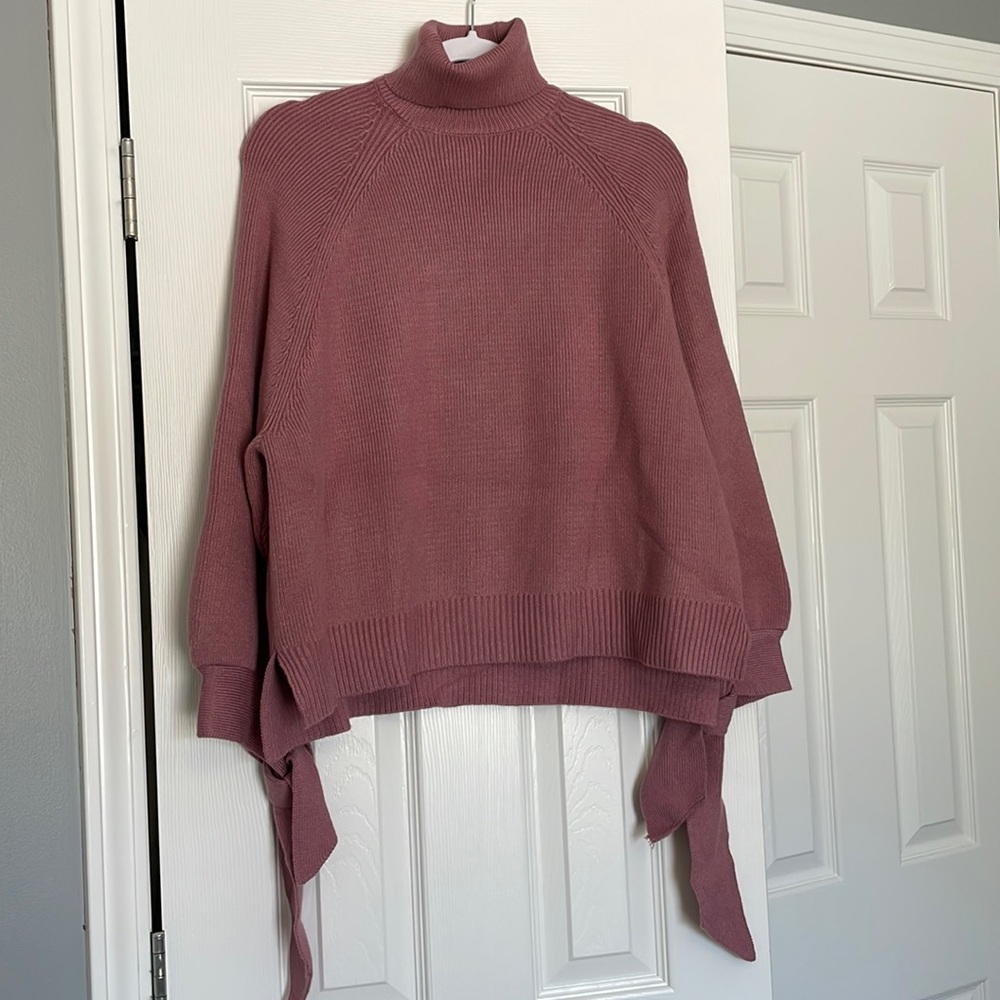 Zara Turtleneck Sweater